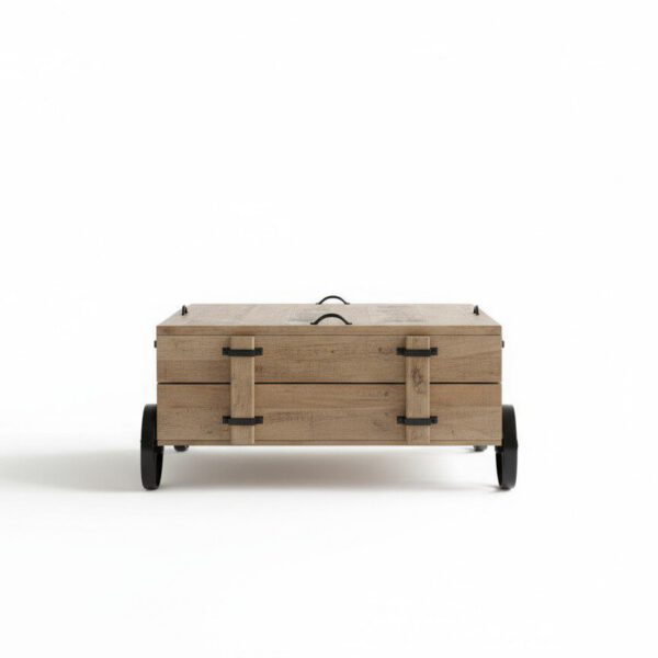 The Artisan Trunk Coffee Table - White BG Front View